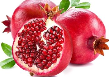 Zašto nutricionisti vole nar