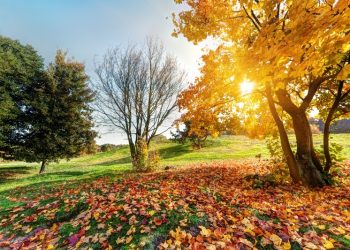 Vraća nam se sunčano vrijeme, iduće sedmice rast će i temperature zraka
