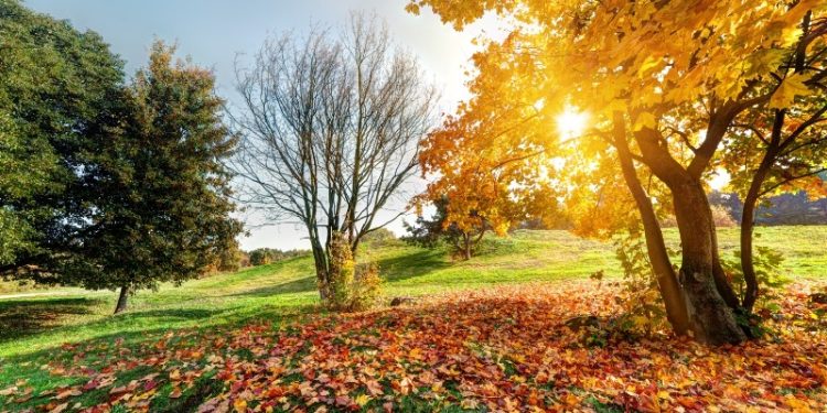 Vraća nam se sunčano vrijeme, iduće sedmice rast će i temperature zraka