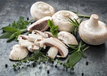 Najčešća greška s gljivama: Evo zašto ih ne treba prati