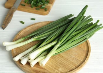 Počela je sezona mladog luka: Zašto biste ovu namirnicu trebali uvrstiti u ishranu