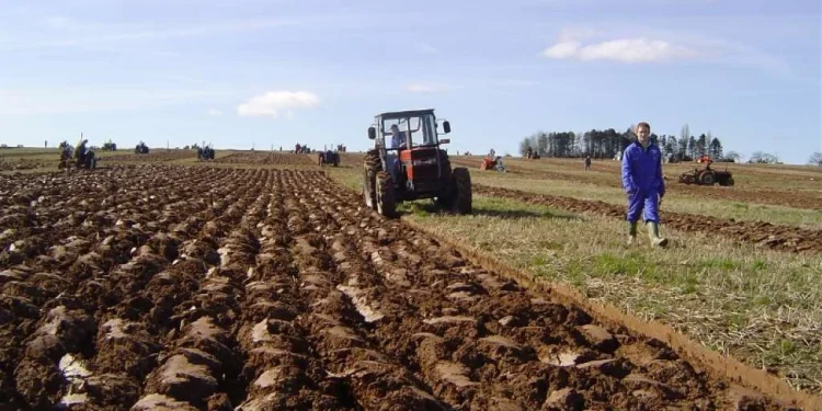 Proljetna sjetva u BiH počinje uskoro: Sadni materijal uglavnom dostupan, izazov klimatske promjene
