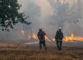 Više od 100.000 ljudi evakuisano zbog velikih požara u Španiji i Francuskoj
