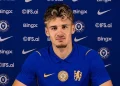 Šta Chelsea nudi Alajbegoviću: Finansijski jača ponuda, mogao bi odmah na posudbu