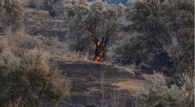 Mediji: Požar kod grada Spokana u američkoj državi Vašington brzo se širi