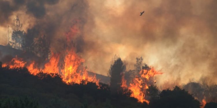 Požar na planini Ljubuši kod Tomislavgrada velikim dijelom pod kontrolom,FUCZ uputila specijaliziranu jedinicu u pomoć pri gašenju požara u Konjicu